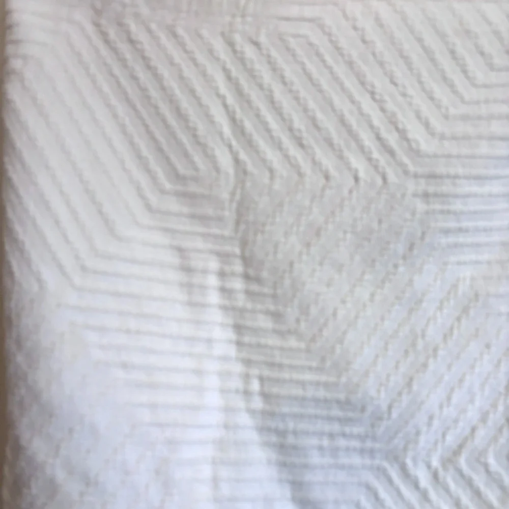 West Elm White Textured Pillow Shams (Pair)